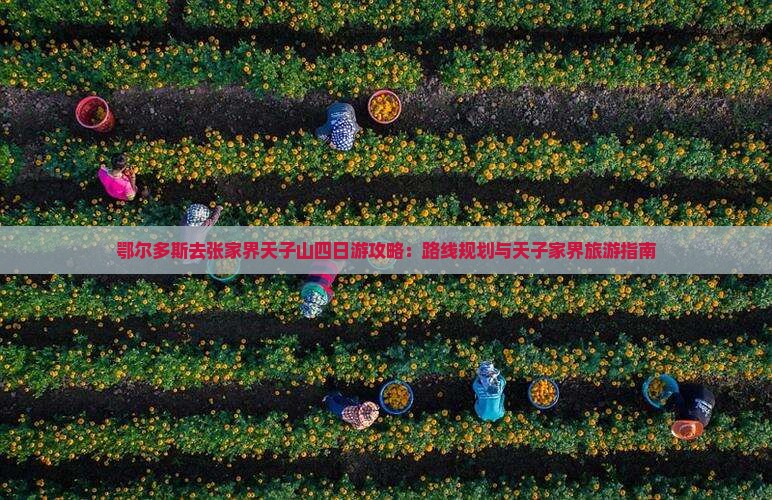 鄂尔多斯去张家界天子山四日游 鄂尔多斯去张家界天子山四日游