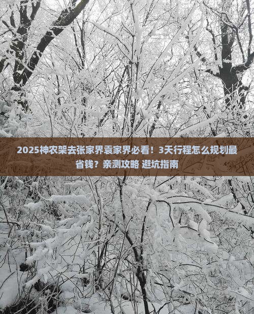神农架去张家界袁家界攻略