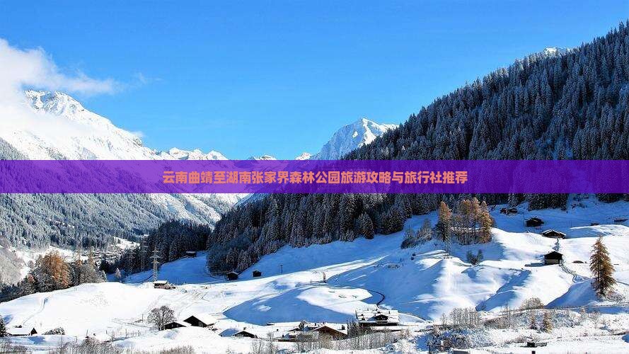 云南曲靖至湖南张家界森林公园旅游攻略与旅行社推荐