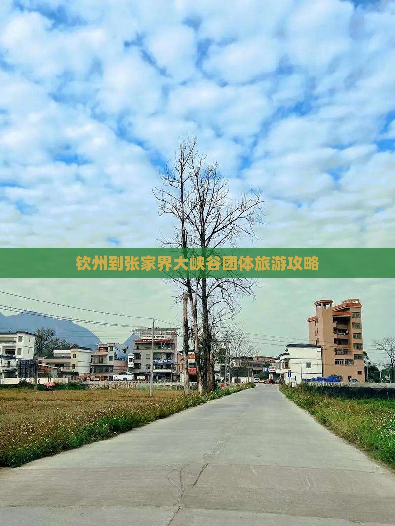 钦州到张家界大峡谷团体旅游攻略