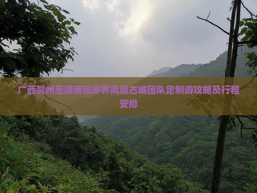 广西贺州至湖南张家界凤凰古城团队定制游攻略及行程安排