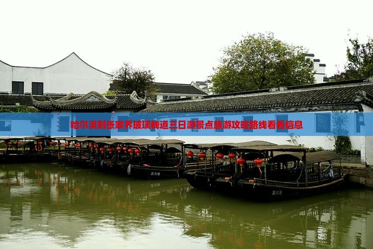 哈尔滨到张家界玻璃栈道三日游景点旅游攻略路线看看信息