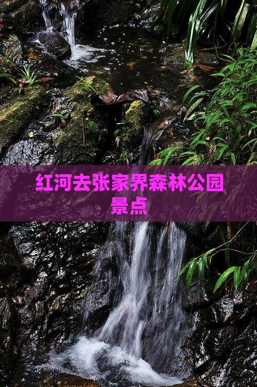 红河去张家界森林公园景点