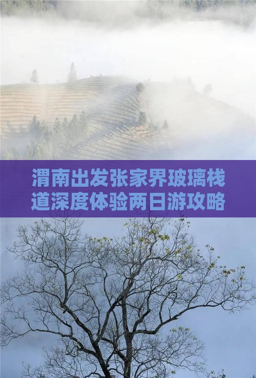 渭南出发张家界玻璃栈道深度体验两日游攻略