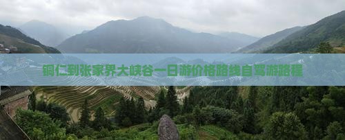 铜仁到张家界大峡谷一日游价格路线自驾游路程