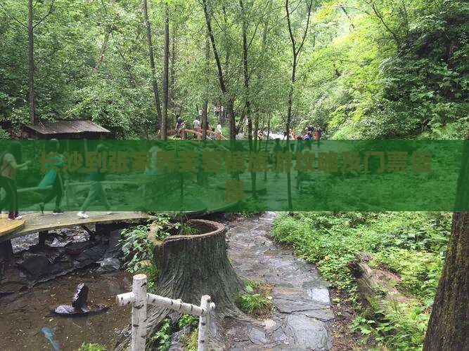 长沙到张家界芙蓉镇旅游攻略及门票信息