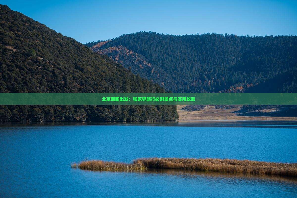 北京朝阳出发：张家界旅行必游景点与实用攻略