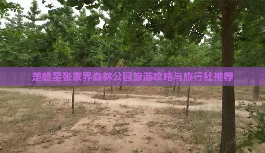 楚雄至张家界森林公园旅游攻略与旅行社推荐