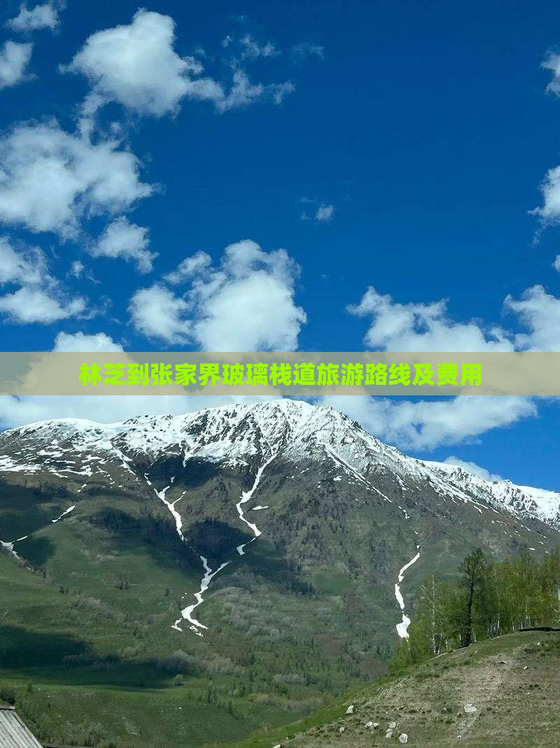 林芝到张家界玻璃栈道旅游