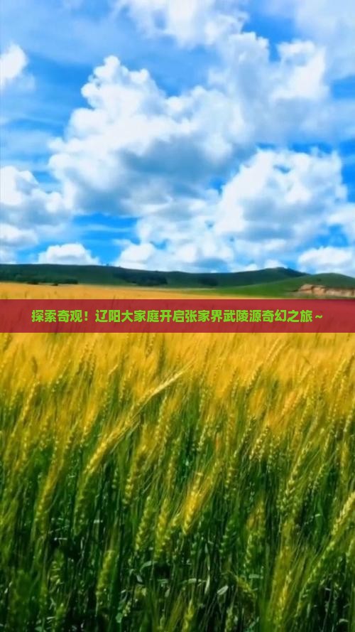 辽阳到张家界武陵源大型旅游团
