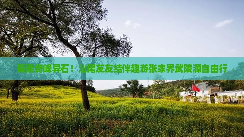 汕尾去张家界武陵源自由团