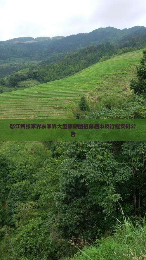 怒江到张家界袁家界大型旅游团