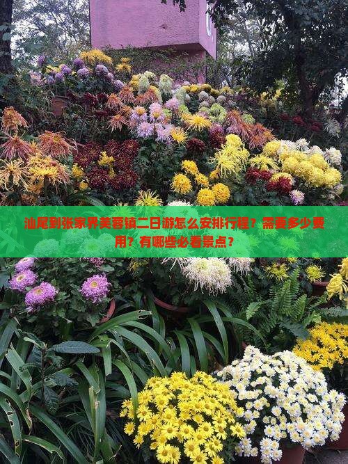 汕尾到张家界芙蓉镇二日游