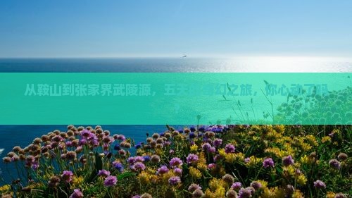 鞍山到张家界武陵源五日游