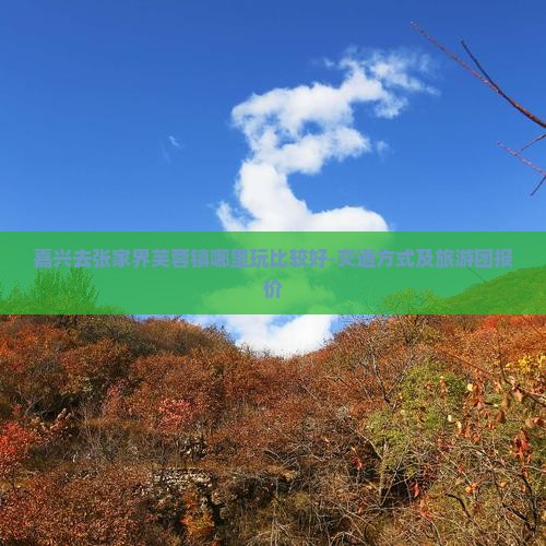 嘉兴去张家界芙蓉镇哪里玩 嘉兴去张家界芙蓉镇哪里玩