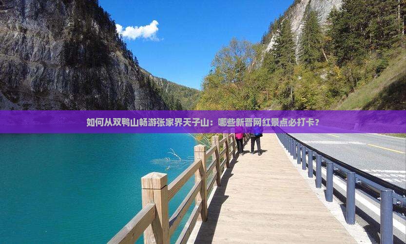 双鸭山到张家界天子山哪里玩