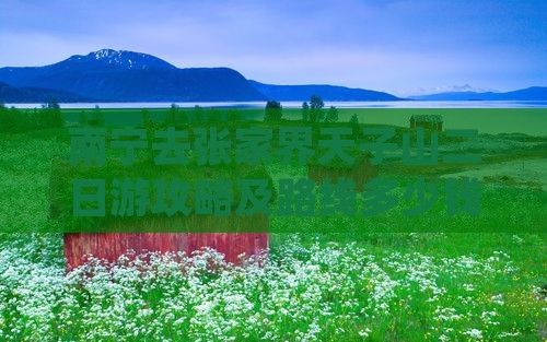 南宁去张家界天子山二日游
