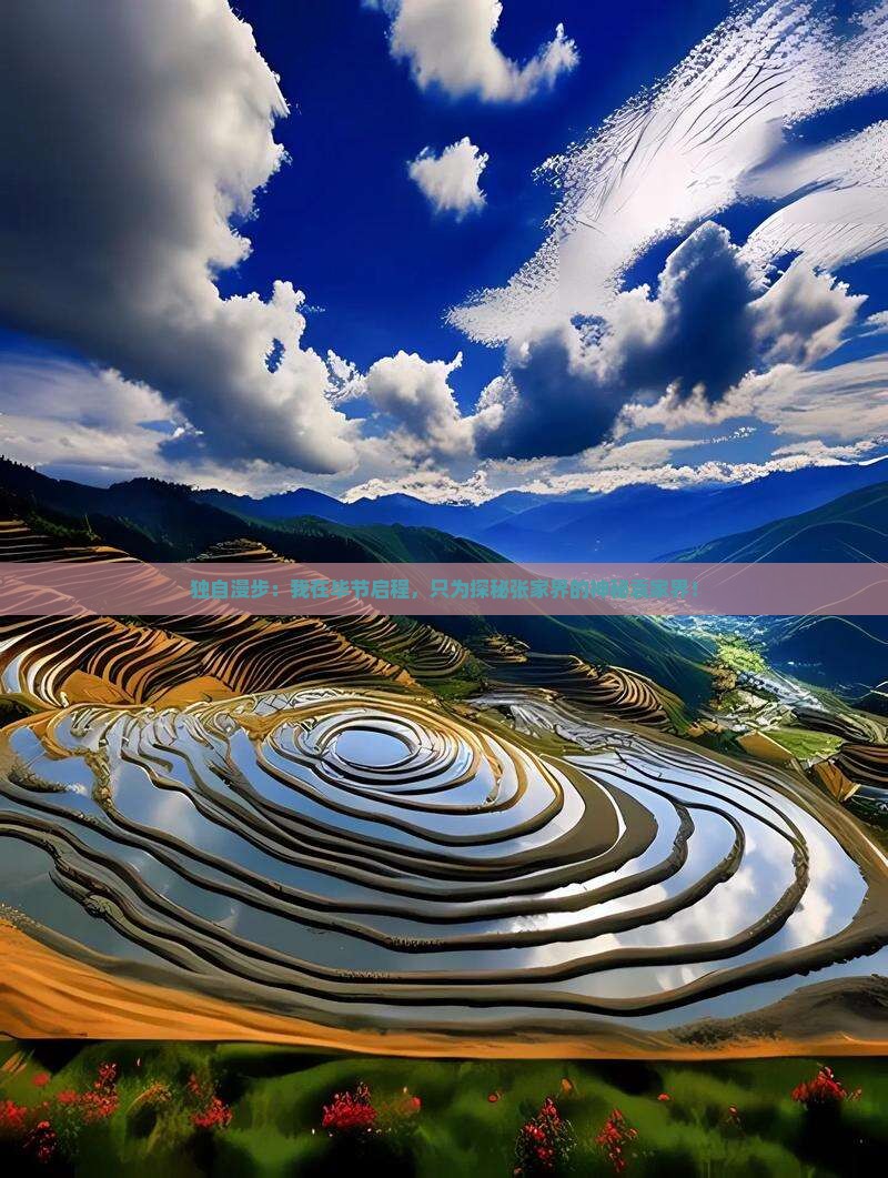 毕节去张家界袁家界个人游
