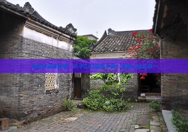 漯河到张家界天子山门票 漯河到张家界天子山门票