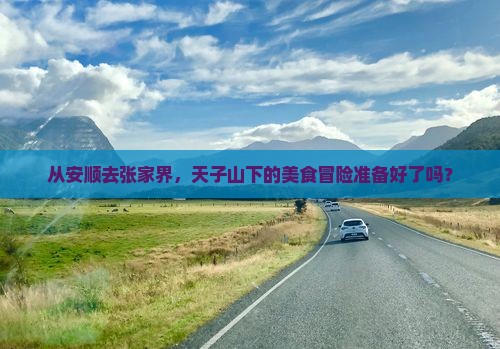 安顺到张家界天子山旅游小吃
