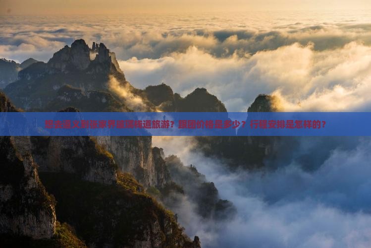 遵义去张家界玻璃栈道大型旅游团