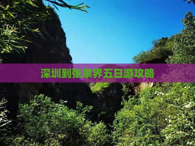 深圳去张家界天子山五日游