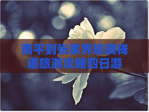 南平到张家界玻璃栈道四日游