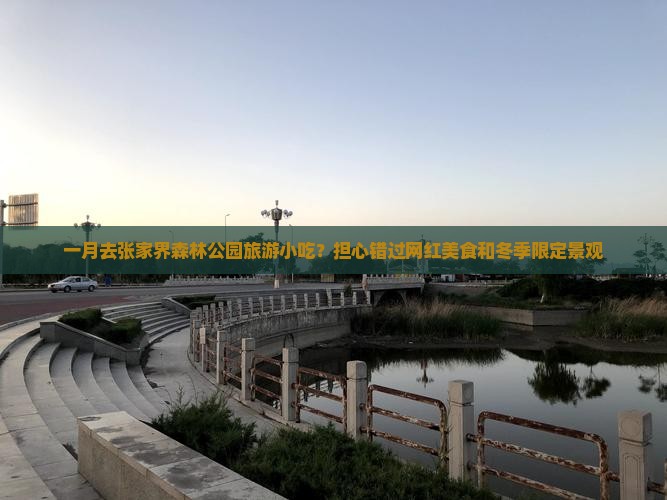 一月去张家界森林公园旅游小吃