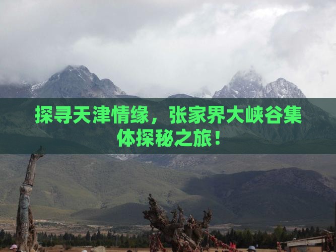 天津去张家界大峡谷团体旅游