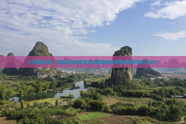 辽阳去张家界森林公园旅游小吃
