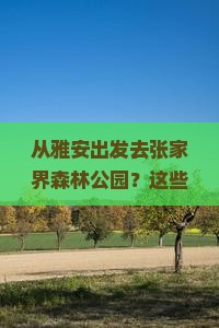 雅安到张家界森林公园必去地