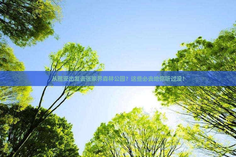 雅安到张家界森林公园必去地