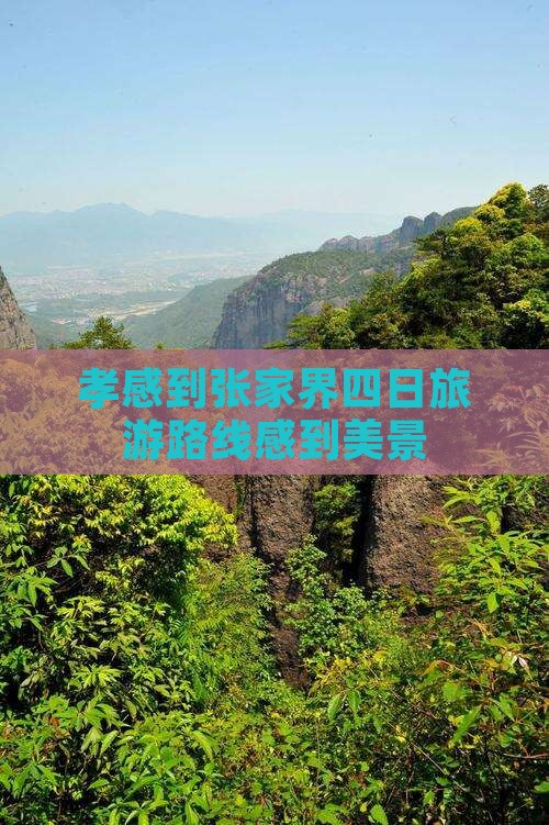 孝感到张家界大峡谷四日游