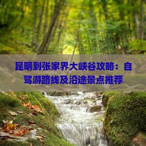 昆明到张家界大峡谷攻略