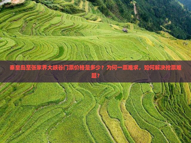 秦皇岛到张家界大峡谷门票