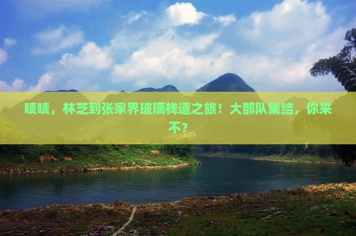 林芝到张家界玻璃栈道大型旅游团