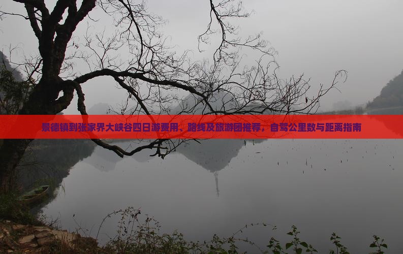 景德镇到张家界大峡谷四日游