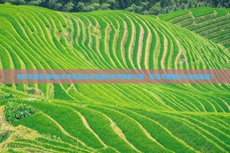 黔东南去张家界森林公园四日游