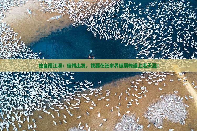 宿州去张家界玻璃栈道个人游