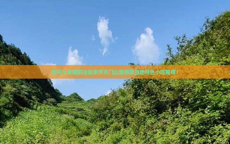 安阳到张家界天门山旅游小吃