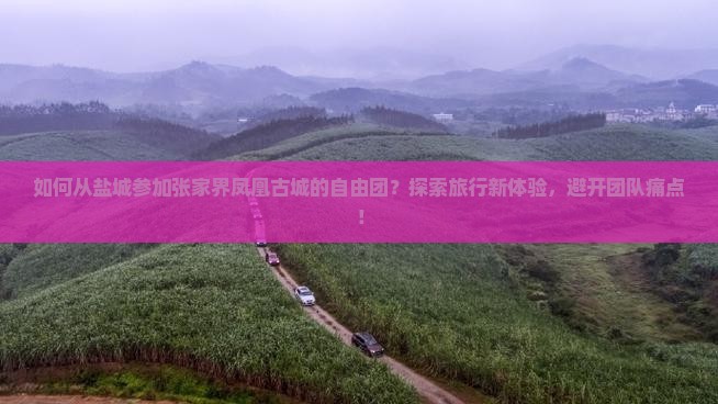 盐城去张家界凤凰古城自由团