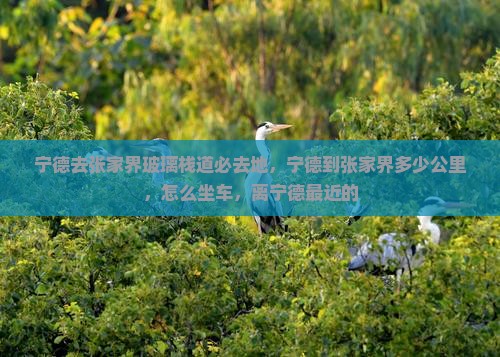 宁德去张家界玻璃栈道必去地