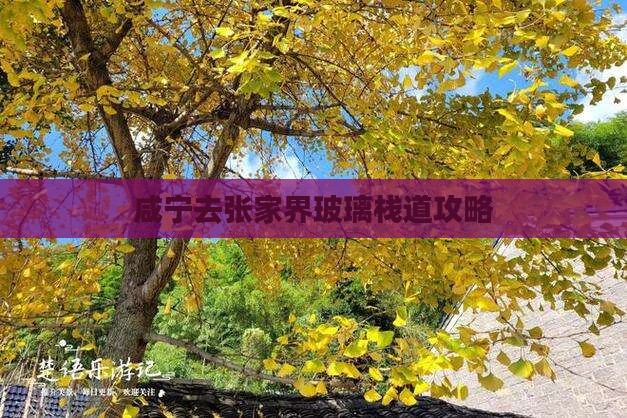 咸宁去张家界玻璃栈道自由团