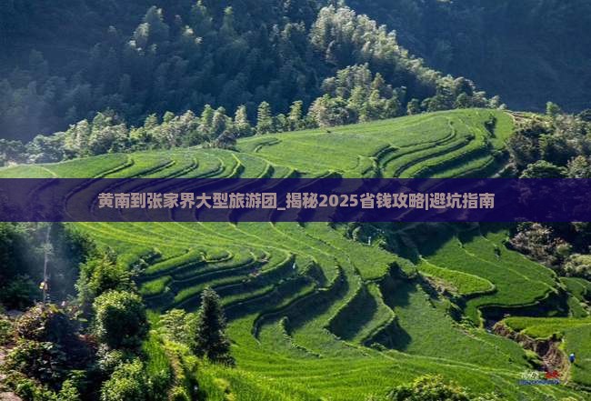黄南到张家界大型旅游团