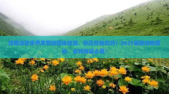 绵阳去张家界芙蓉镇团体旅游