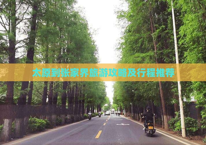 太原到张家界个人游