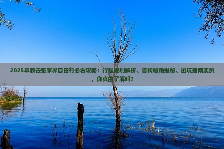 阜新去张家界自由行