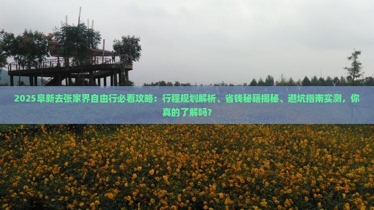 阜新去张家界自由行