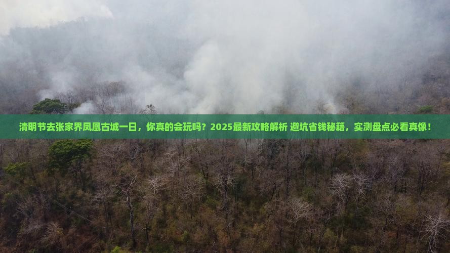 清明节去张家界凤凰古城一日