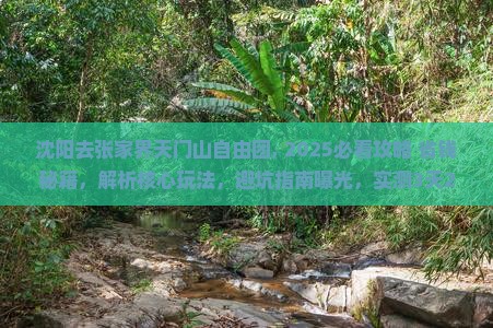 沈阳去张家界天门山自由团